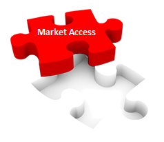 formando equipo de market access 2